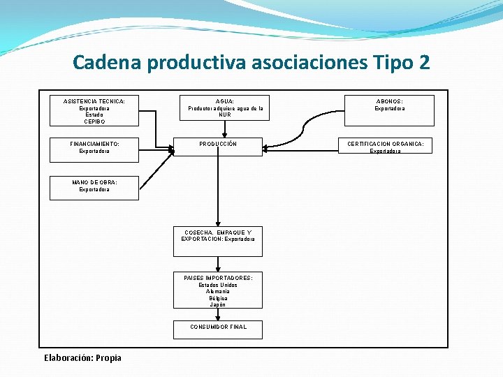 Cadena productiva asociaciones Tipo 2 ASISTENCIA TECNICA: Exportadora Estado CEPIBO FINANCIAMIENTO: Exportadora AGUA: Productor