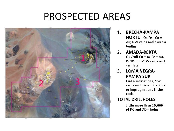 PROSPECTED AREAS 1. BRECHA-PAMPA NORTE Ox Fe - Cu ± Au; NW veins and