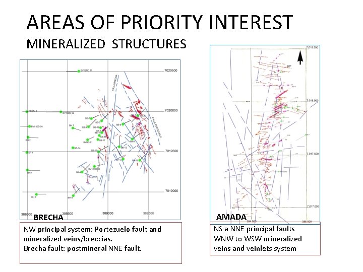 AREAS OF PRIORITY INTEREST MINERALIZED STRUCTURES BRECHA NW principal system: Portezuelo fault and mineralized