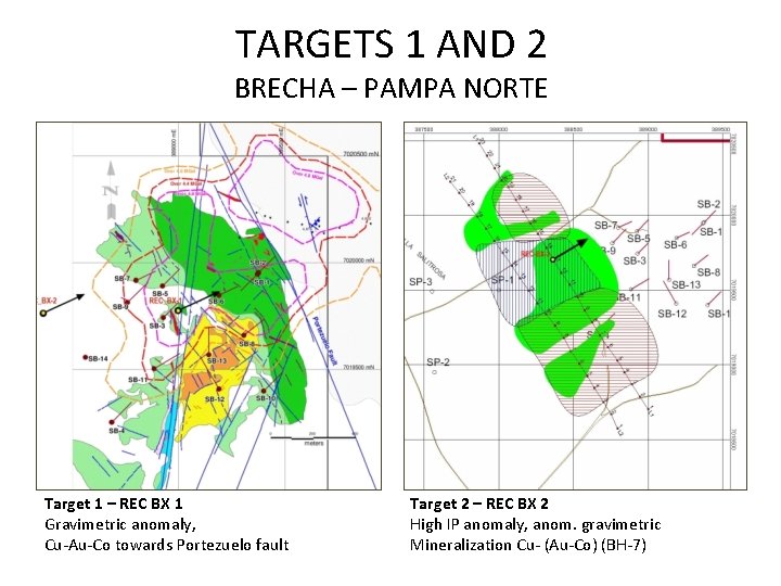 TARGETS 1 AND 2 BRECHA – PAMPA NORTE Target 1 – REC BX 1