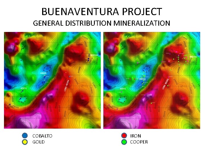 BUENAVENTURA PROJECT GENERAL DISTRIBUTION MINERALIZATION COBALTO GOLD IRON COOPER 