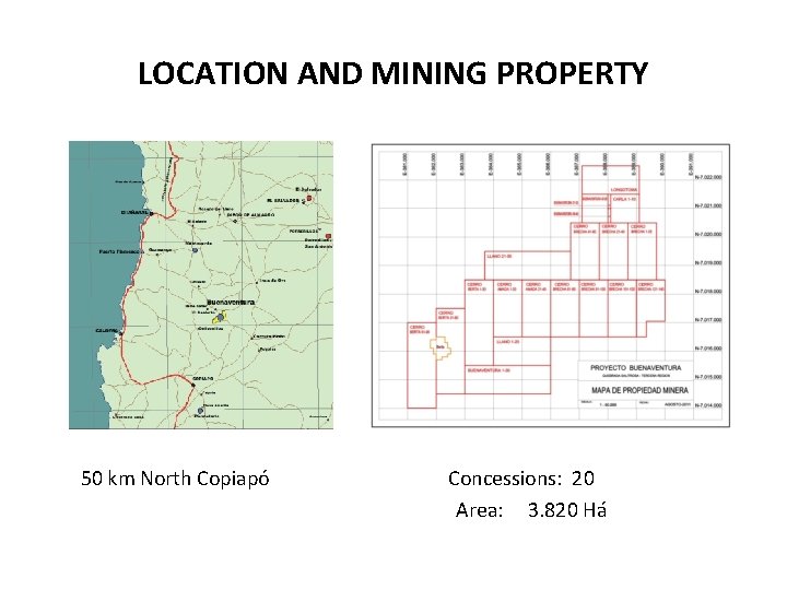 LOCATION AND MINING PROPERTY 50 km North Copiapó Concessions: 20 Area: 3. 820 Há