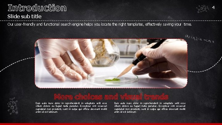 4 Slide sub title Our user-friendly and functional search engine helps you locate the