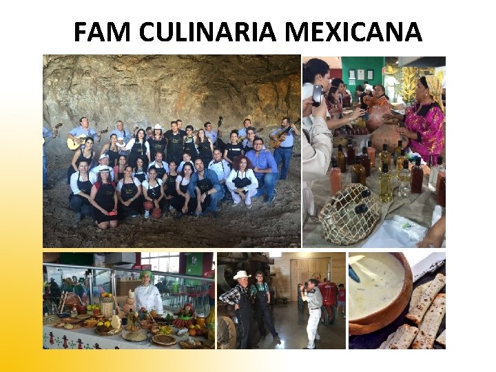 FAM CULINARIA MEXICANA 