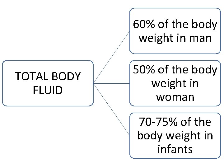 60% of the body weight in man TOTAL BODY FLUID 50% of the body