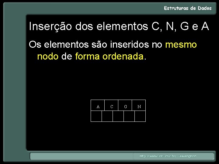 Inserção dos elementos C, N, G e A Os elementos são inseridos no mesmo