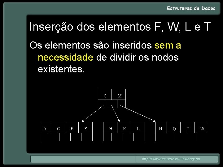 Inserção dos elementos F, W, L e T Os elementos são inseridos sem a