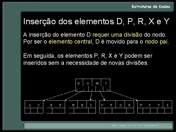 Inserção dos elementos D, P, R, X e Y A inserção do elemento D