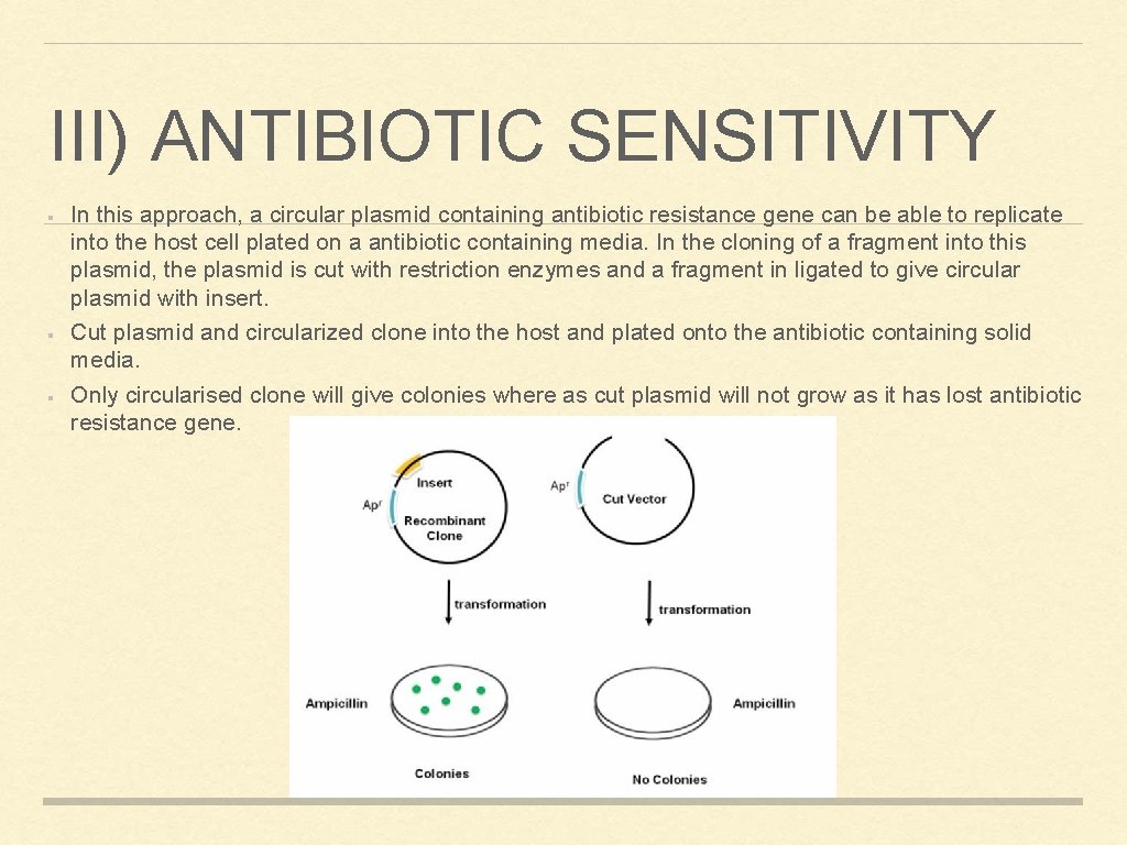III) ANTIBIOTIC SENSITIVITY In this approach, a circular plasmid containing antibiotic resistance gene can