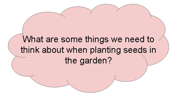 What are some things we need to think about when planting seeds in the