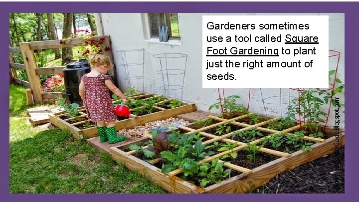 Gardeners sometimes use a tool called Square Foot Gardening to plant just the right