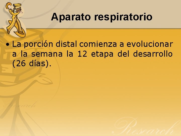 Aparato respiratorio • La porción distal comienza a evolucionar a la semana la 12