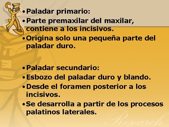  • Paladar primario: • Parte premaxilar del maxilar, contiene a los incisivos. •