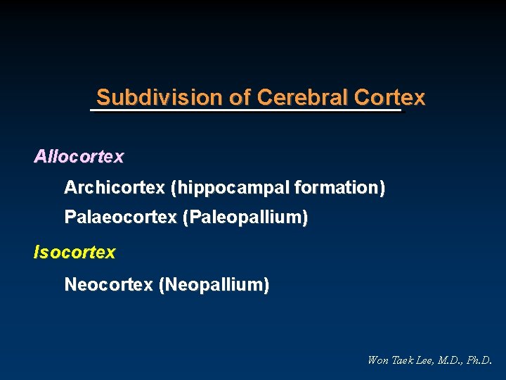 Subdivision of Cerebral Cortex Allocortex Archicortex (hippocampal formation) Palaeocortex (Paleopallium) Isocortex Neocortex (Neopallium) Won