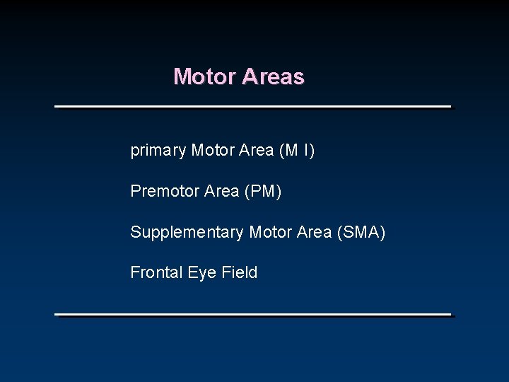 Motor Areas primary Motor Area (M I) Premotor Area (PM) Supplementary Motor Area (SMA)
