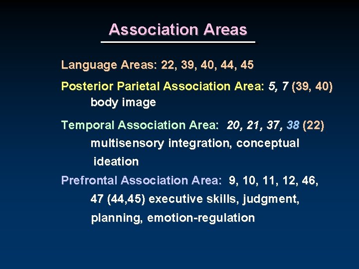 Association Areas Language Areas: 22, 39, 40, 44, 45 Posterior Parietal Association Area: 5,