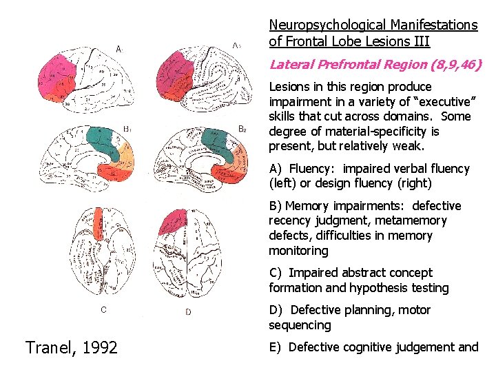 Neuropsychological Manifestations of Frontal Lobe Lesions III Lateral Prefrontal Region (8, 9, 46) Lesions