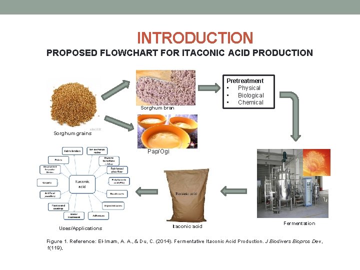 INTRODUCTION PROPOSED FLOWCHART FOR ITACONIC ACID PRODUCTION Sorghum bran Pretreatment • Physical • Biological