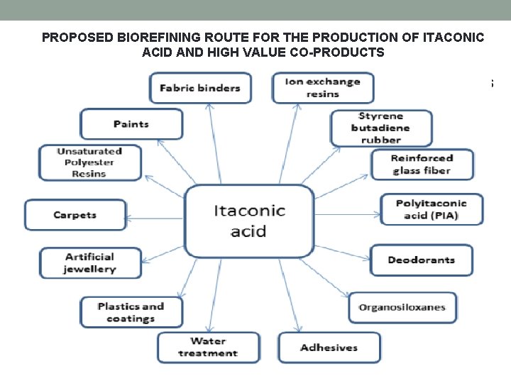 PROPOSED BIOREFINING ROUTE FOR THE PRODUCTION OF ITACONIC ACID AND HIGH VALUE CO-PRODUCTS PROCESS