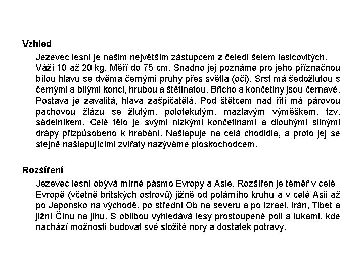 Vzhled Jezevec lesní je našim největším zástupcem z čeledi šelem lasicovitých. Váží 10 až