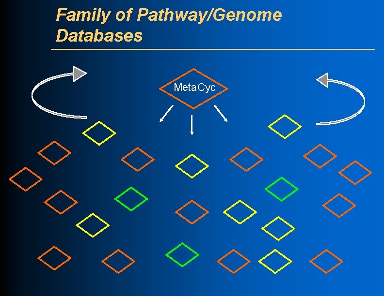 Family of Pathway/Genome Databases Meta. Cyc 