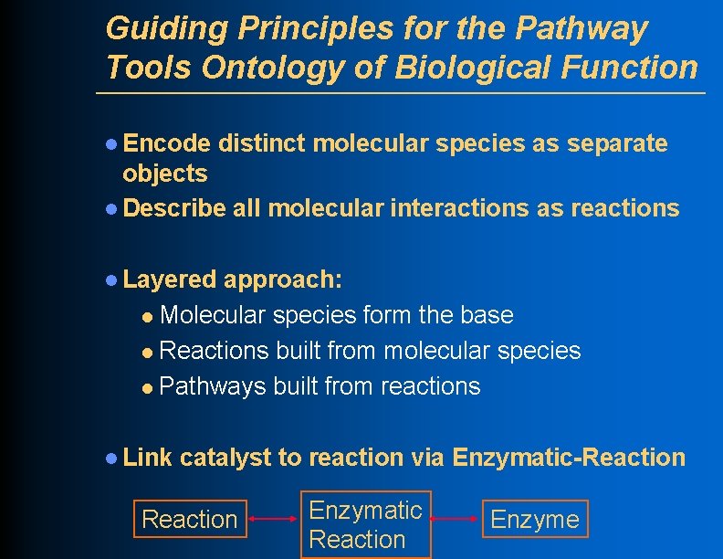 Guiding Principles for the Pathway Tools Ontology of Biological Function l Encode distinct molecular