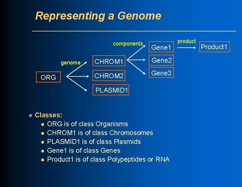 Representing a Genome components genome ORG Gene 1 CHROM 1 Gene 2 CHROM 2