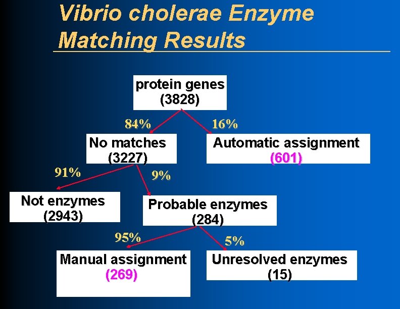 Vibrio cholerae Enzyme Matching Results protein genes (3828) 84% No matches (3227) 91% 9%