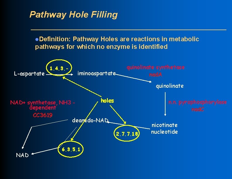 Pathway Hole Filling l. Definition: Pathway Holes are reactions in metabolic pathways for which