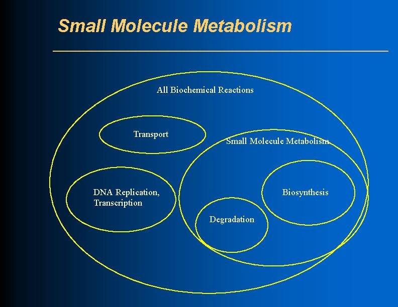 Small Molecule Metabolism All Biochemical Reactions Transport Small Molecule Metabolism DNA Replication, Transcription Biosynthesis