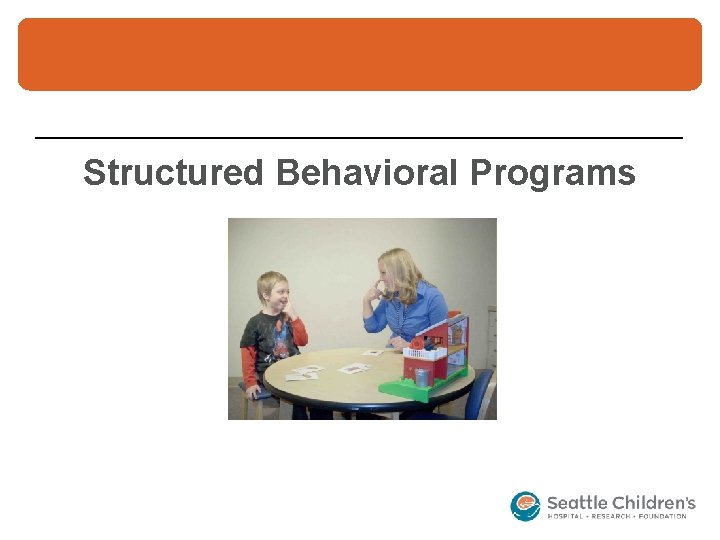 Structured Behavioral Programs 