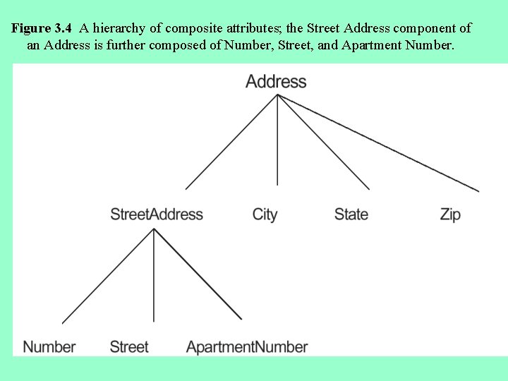 Figure 3. 4 A hierarchy of composite attributes; the Street Address component of an