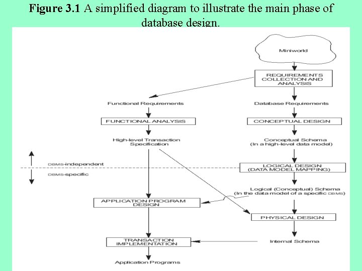 Figure 3. 1 A simplified diagram to illustrate the main phase of database design.