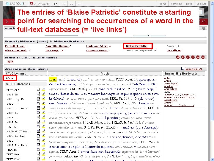 The entries of ‘Blaise Patristic’ constitute a starting point for searching the occurrences of