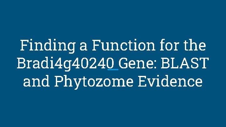 Finding a Function for the Bradi 4 g 40240 Gene: BLAST and Phytozome Evidence