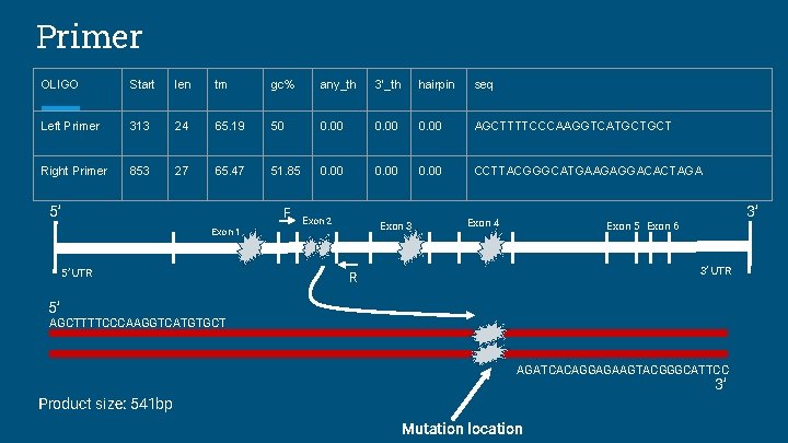 Primer OLIGO Start len tm gc% any_th 3’_th hairpin seq Left Primer 313 24