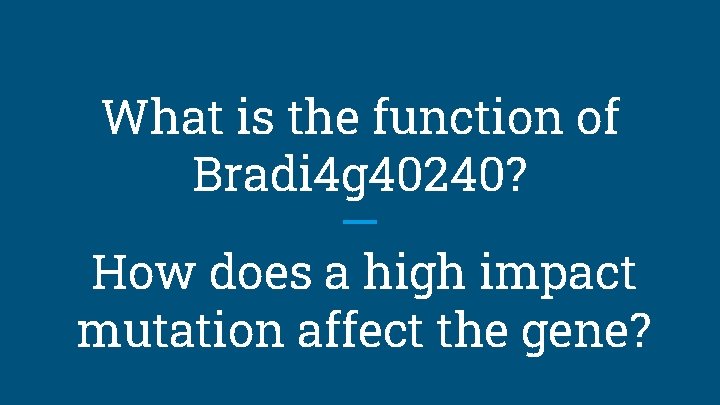 What is the function of Bradi 4 g 40240? How does a high impact