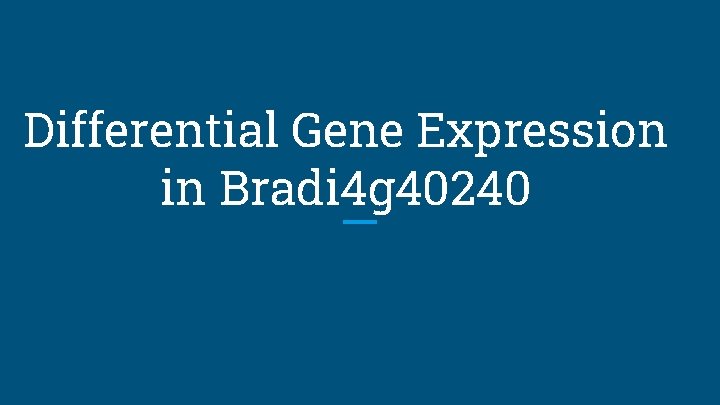 Differential Gene Expression in Bradi 4 g 40240 