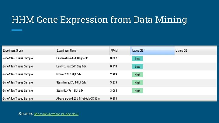 HHM Gene Expression from Data Mining Source: https: //phytozome. jgi. doe. gov/ 