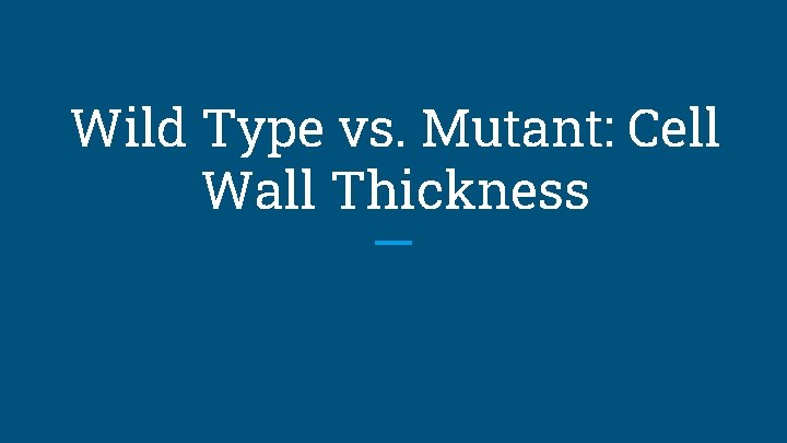 Wild Type vs. Mutant: Cell Wall Thickness 