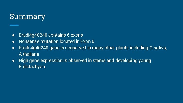 Summary ● Bradi 4 g 40240 contains 6 exons ● Nonsense mutation located in