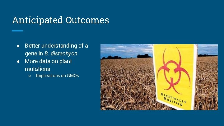 Anticipated Outcomes ● Better understanding of a gene in B. distachyon ● More data