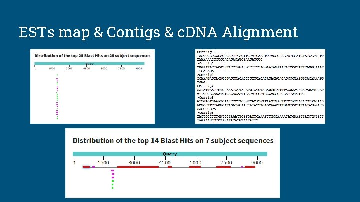 ESTs map & Contigs & c. DNA Alignment 