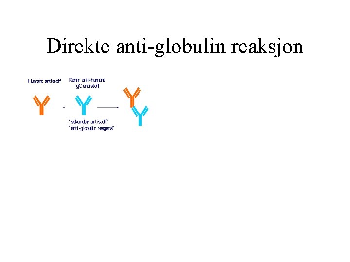 Direkte anti globulin reaksjon 