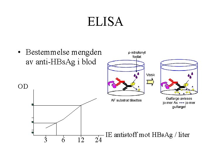 ELISA • Bestemmelse mengden av anti HBs. Ag i blod OD 3 6 12