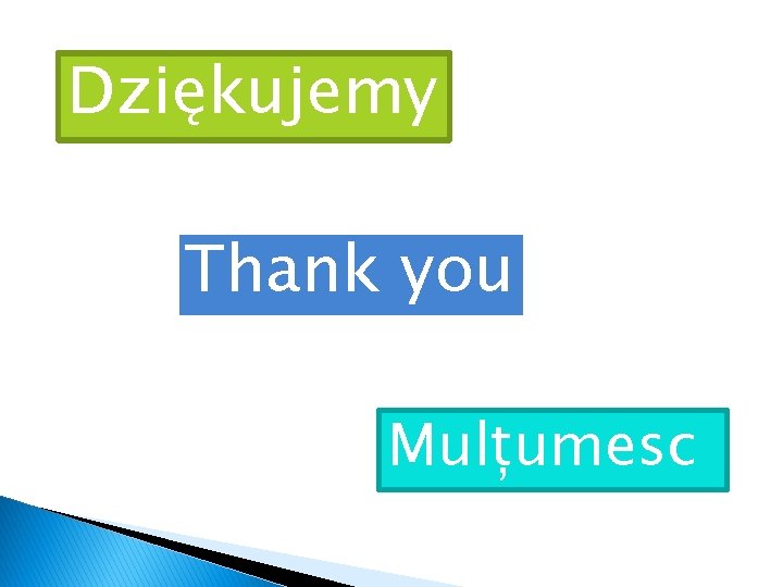 Dziękujemy Thank you Mulțumesc 