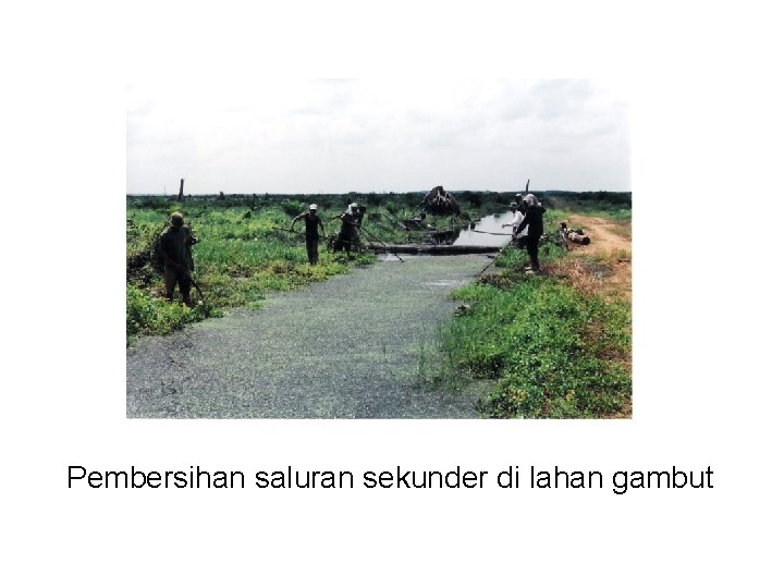 Pembersihan saluran sekunder di lahan gambut 