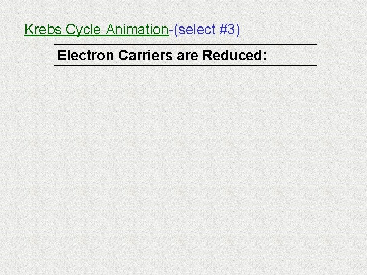 Krebs Cycle Animation-(select #3) Electron Carriers are Reduced: Krebs Cycle Animation-(select #3) Electron Carriers are Reduced: