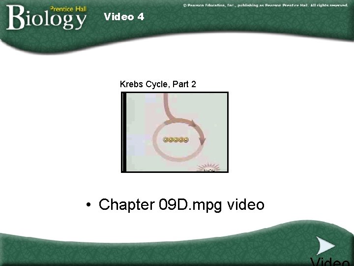 Video 4 Krebs Cycle, Part 2 • Chapter 09 D. mpg video 