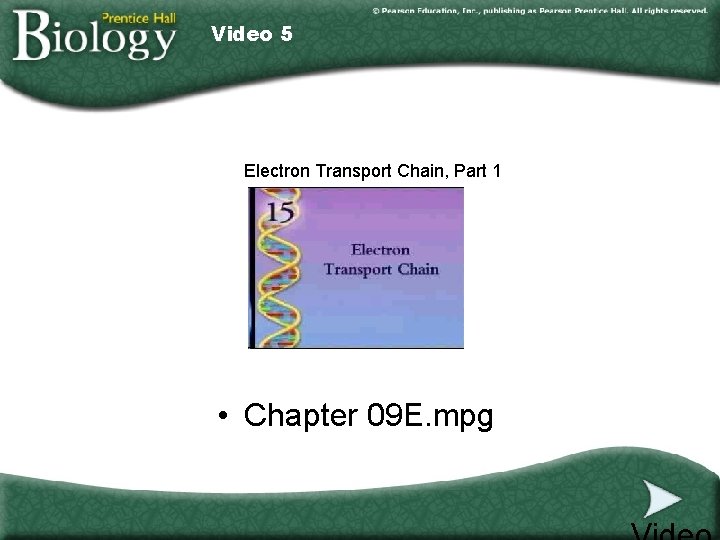 Video 5 Electron Transport Chain, Part 1 • Chapter 09 E. mpg Video 5 Electron Transport Chain, Part 1 • Chapter 09 E. mpg